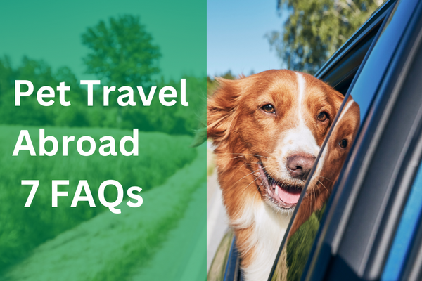Pet Travel abroad – 7 Frequently Asked Questions