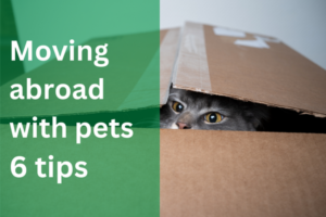 Moving abroad with pets - 6 tips | European Pet Travel