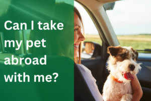 Can I take my pet abroad with me? | European Pet Travel