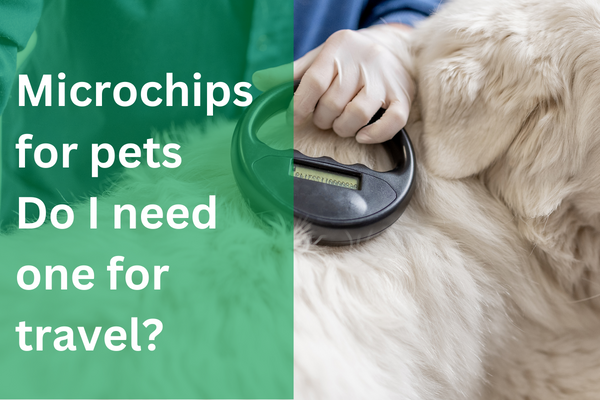 Does my pet need a microchip for travel?